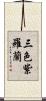 三色紫羅蘭 Scroll
