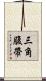 三角腹帶 Scroll