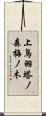 上鳥羽塔ノ森梅ノ木 Scroll