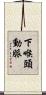 下喉頭動脈 Scroll