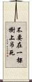 不要在一棵樹上吊死 Scroll