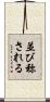並び称される Scroll
