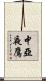 中亞夜鷹 Scroll
