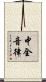 中全音律 Scroll