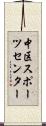 中区スポーツセンター Scroll
