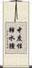 中度性肺水腫 Scroll