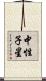 中性子星 Scroll