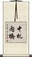 中札内橋 Scroll