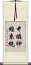 中樞神經系統 Scroll