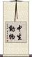 中生動物 Scroll