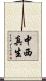中西真生 Scroll