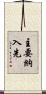 主要納入先 Scroll