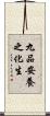 九品安養之化生 Scroll