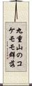 九重山のコケモモ群落 Scroll