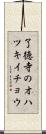了徳寺のオハツキイチョウ Scroll