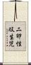 二卵性双生児 Scroll