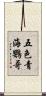 五色青海鸚哥 Scroll