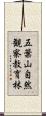 五葉山自然観察教育林 Scroll