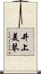 井上美琴 Scroll