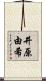 井原由希 Scroll
