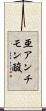 亜アンチモン酸 Scroll