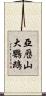 亞歷山大鸚鵡 Scroll