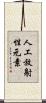 人工放射性元素 Scroll