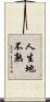 人生地不熟 Scroll