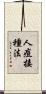人痘接種法 Scroll