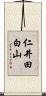 仁井田白山 Scroll