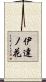 伊達ノ花 Scroll