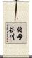伯母谷川 Scroll