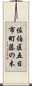 佐伯区五日市町藤の木 Scroll