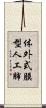 体外式膜型人工肺 Scroll