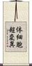 体細胞超変異 Scroll
