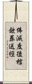 佛滅度後棺歛葬送經 Scroll