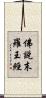 佛說末羅王經 Scroll