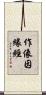 作像因緣經 Scroll
