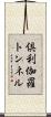 倶利伽羅トンネル Scroll