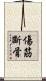 傷筋斷骨 Scroll