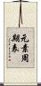 元素周期表 Scroll