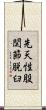 先天性股関節脱臼 Scroll