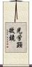 光学顕微鏡 Scroll