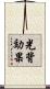 光背効果 Scroll