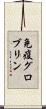 免疫グロブリン Scroll