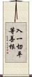 入一切平等善根 Scroll