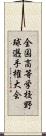 全国高等学校野球選手権大会 Scroll