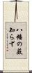 八幡の薮知らず Scroll