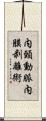 内頸動脈内膜剥離術 Scroll