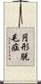 円形脱毛症 Scroll